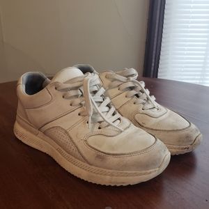 Everlane The Trainer Women's Sneaker